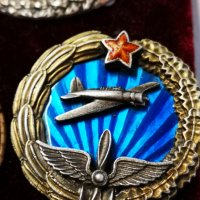 Много редки военни знаци/СССР,1920-1939 год., снимка 7 - Колекции - 26562521