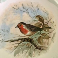 Декоративна чиния за колекционери английски порцелан , снимка 7 - Декорация за дома - 43848165