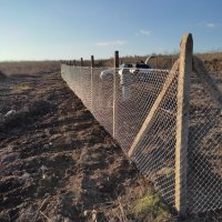 Изграждане на ограда с циментови колове и оградна мрежа - Бургас област в  Други в с. Медово - ID38497643 — Bazar.bg