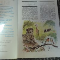 Библия за деца, снимка 2 - Ученически пособия, канцеларски материали - 32862438