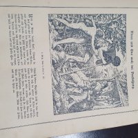 Прекрасна антикварна немска картинна библия , снимка 5 - Антикварни и старинни предмети - 39105262