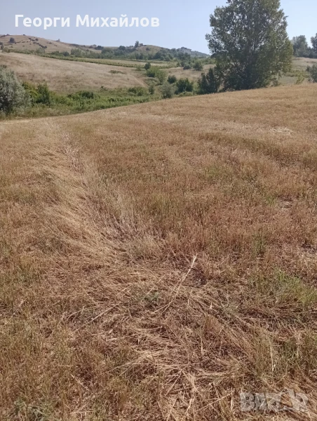  Земеделска земя, 4 дка, категория 8 , снимка 1