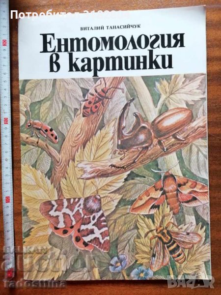 Детска книжка Ентомология в картинки В. Танасийчук, снимка 1
