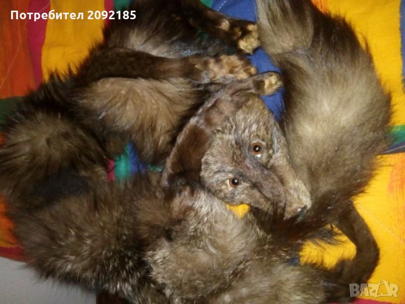 Шал яка намалена, снимка 1