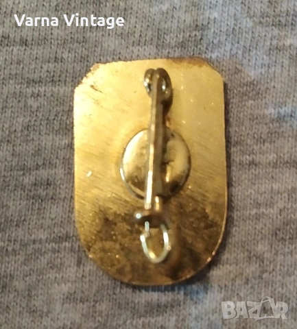 Значка „Съмишленик на планинската спасителна служба“ месинг. Германия., снимка 2 - Колекции - 53210931