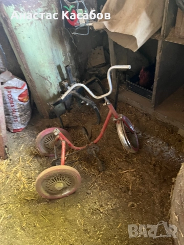 Триколка зайка