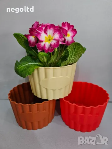 10 броя цветни кашпи само за 9.90 🤩 КАШПИ ЗА ЦВЕТЯ, снимка 6 - Саксии и кашпи - 48779945