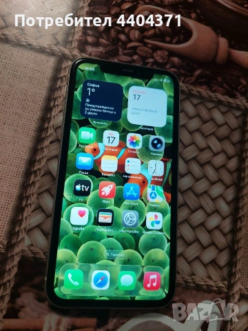 iPhone 11 64 GB