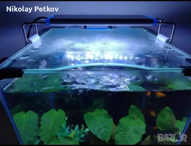 Специализирани аквариумни лампи, снимка 9 - Оборудване за аквариуми - 50291364