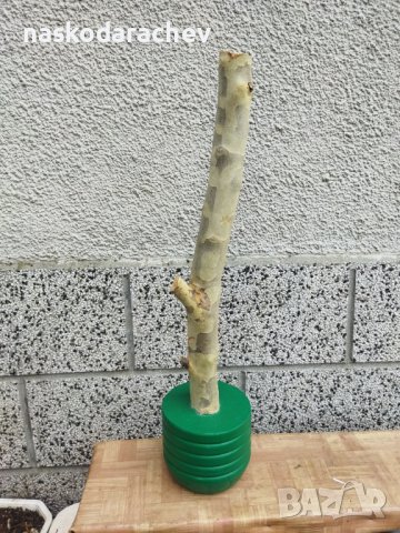 Катерушка, аксесоар за котета за точене на ноктите, снимка 13 - За котки - 39293018