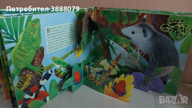 Детска книга със звуци " Горите около Екватора ", снимка 5 - Детски книжки - 43739523