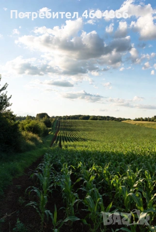 Продава нива - поземлен имот до София