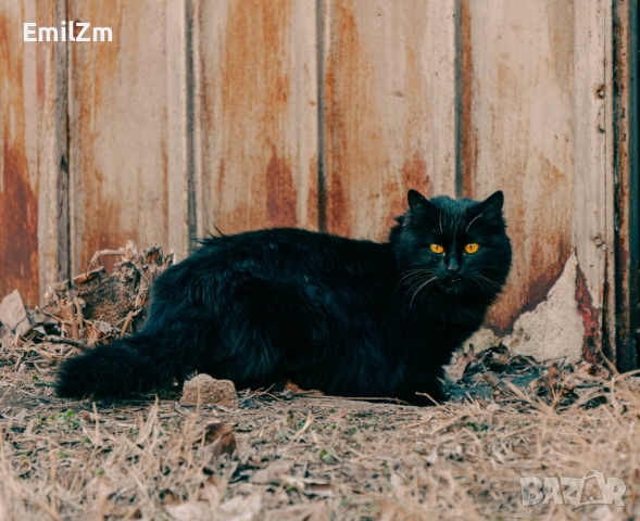 Panasonic Lumix GF3 Micro 4/3 mount, снимка 9 - Фотоапарати - 52840538