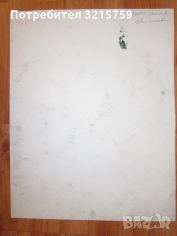 Картина акварел, Доротея Димчева, 47х37см.  , снимка 3 - Картини - 35278857