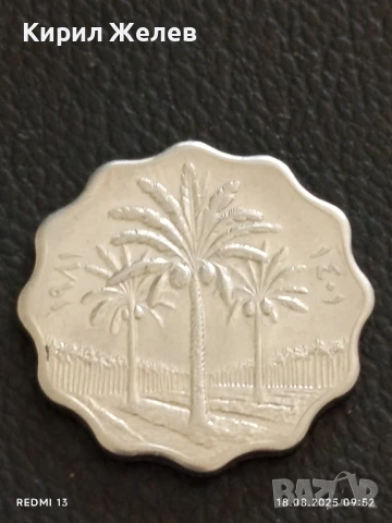 Две монети 5 филса 1971г. Ирак / 100 дирхама 1975г. Либия за КОЛЕКЦИЯ 16261, снимка 4 - Нумизматика и бонистика - 51399741