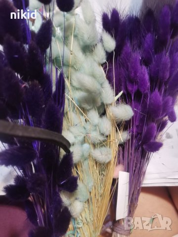 Сноп 10 бр натурален Овален лагурус Заешка опашка пухчета декорация аранжиране ваза букет цветя сухи, снимка 11 - Изкуствени цветя - 29744349