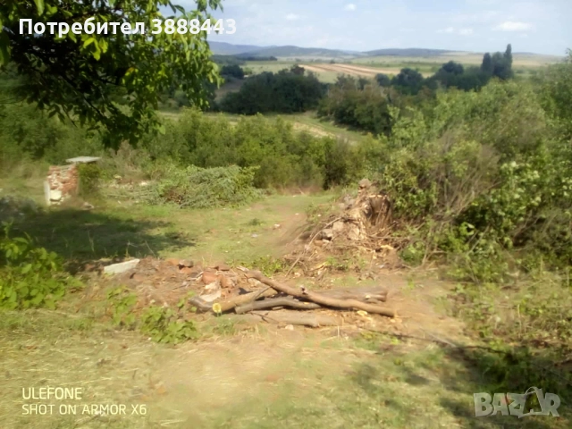 Празно дворно място , снимка 5 - Парцели - 51522743