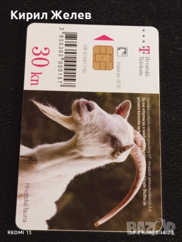 Три фонокарти тема ЖИВОТНИ ЧЕРЕН ЛЕШОЯД, ЩЪРКЕЛИ,КОЗИ за КОЛЕКЦИЯ 21890, снимка 5 - Колекции - 51669802