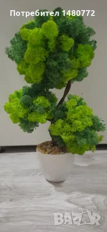 Бонсай със скандинавски мъх в саксийка, снимка 3 - Декорация за дома - 48125215
