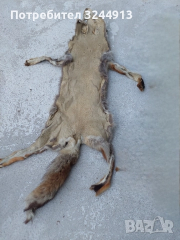 Лисича кожа , снимка 7 - Други стоки за дома - 52309285