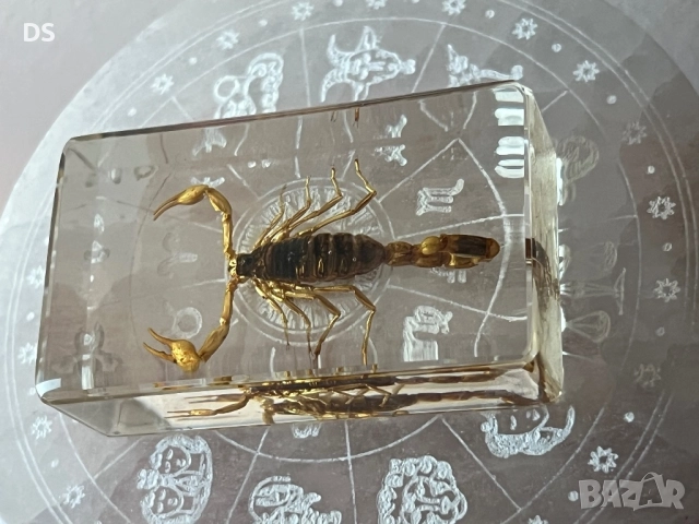 Сувенир скорпион , снимка 3 - Декорация за дома - 52639874