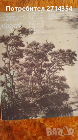 Плочи класическа музика , снимка 2 - Грамофонни плочи - 50461925