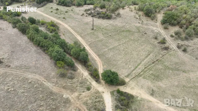 Земеделска земя общ. Струмяни, с. Палат, снимка 9 - Земеделска земя - 46637268