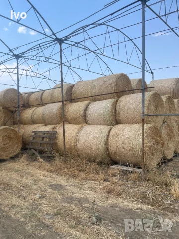 Слама бали, снимка 2 - За селскостопански - 51174970