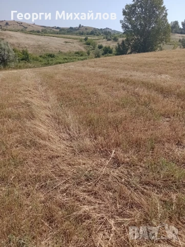  Земеделска земя, 4 дка, категория 8 