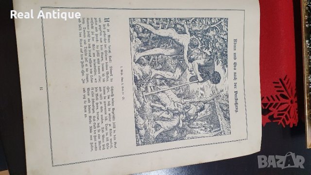 Прекрасна антикварна немска картинна библия , снимка 5 - Антикварни и старинни предмети - 39105262