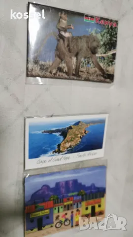 Магнити от Африка, снимка 3 - Колекции - 49277594