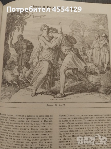 Илюстрирана библия, снимка 4 - Специализирана литература - 51583717