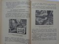 Книга Леки автомобили Фиат София 1962 год на Български език, снимка 12