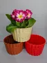 10 броя цветни кашпи само за 9.90 🤩 КАШПИ ЗА ЦВЕТЯ, снимка 6