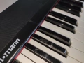 Електронно пиано Thomann SP120 и стойка Roadworx, снимка 8