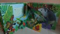 Детска книга със звуци " Горите около Екватора ", снимка 5