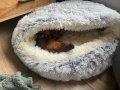 Ново зимно - топло плюшено Легло * Възглавница * Къща *Хралупа * За котка * куче * Размери * Цветове, снимка 3
