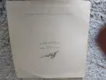 Продавам грамофонни плочи, снимка 17