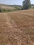  Земеделска земя, 4 дка, категория 8 , снимка 1