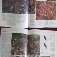 1987г. Албум Книга Снимане на дивите животни и природата, снимка 4 - Антикварни и старинни предмети - 27553425