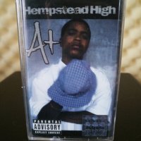 A+ - Hempstead high