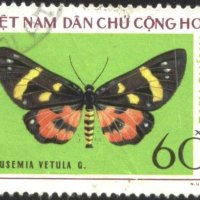Клеймованa маркa Фауна Пеперудa 1976  от Виетнам, снимка 1 - Филателия - 40636881