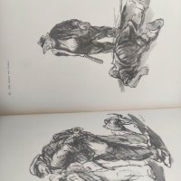 Продавам книга "Рисунки и карикатури от Илия Бешков. Атанас Божков 1958 , снимка 6 - Специализирана литература - 37250919