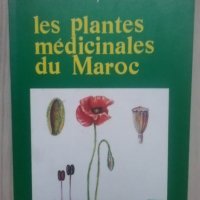 "Лечебни растения на Мароко" -  на френски език, снимка 1 - Други - 34699368