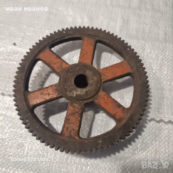 Зъпчатка Струг , снимка 1