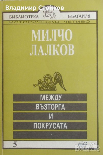 Между възторга и покрусата, снимка 1