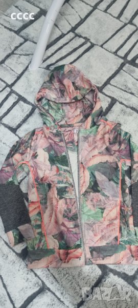 Лот, снимка 1