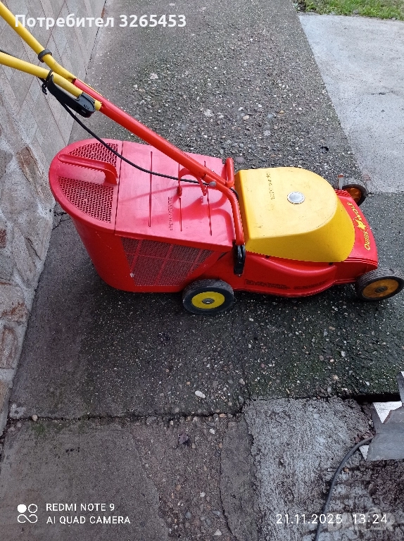 косачка раиграс, снимка 1