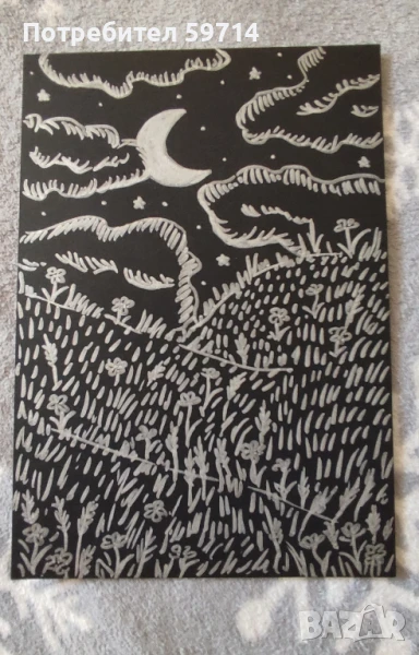 Рисунка "Нощна поляна", снимка 1