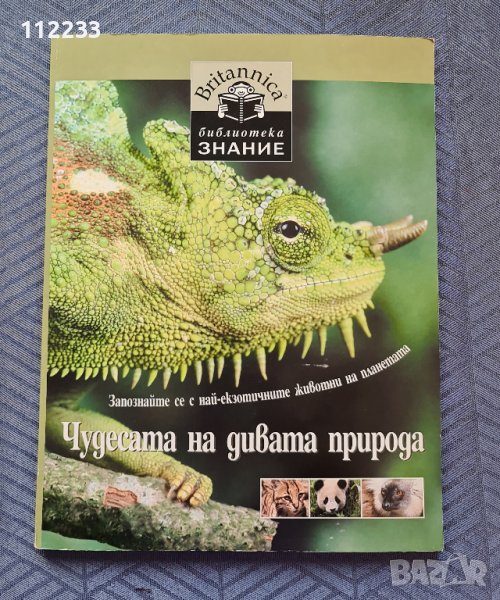 Чудесата на дивата природа, снимка 1